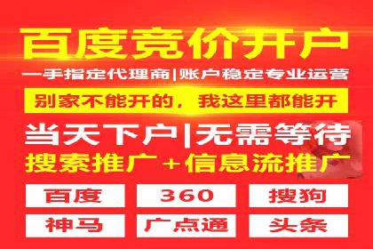 SEM竞价案例：提升搜索引擎排名